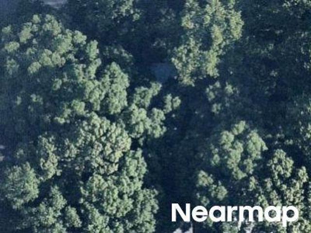 Neforest Green Dr