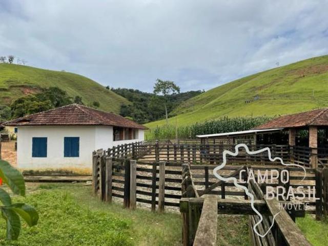 Negócio de ocasião! Fazenda de 105,5 aq com excelente preço!