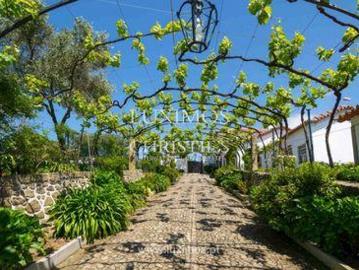 Avenida Estevão Oliveira Maia, Castêlo da Maia, Maia, Distrito de Porto