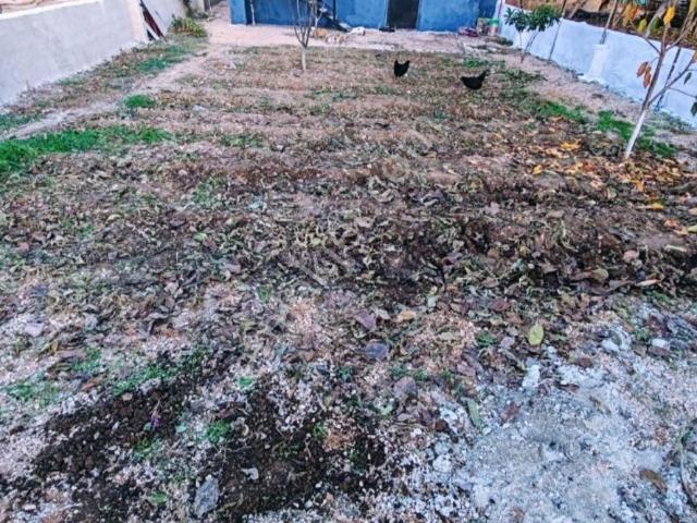 Nehirden Acıpayam Yumrutaşta 355 M2 Arsa Ve Konteynir Ev