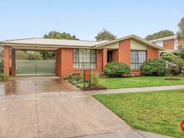 Neighbours Vibes, Kyneton Lifestyle
