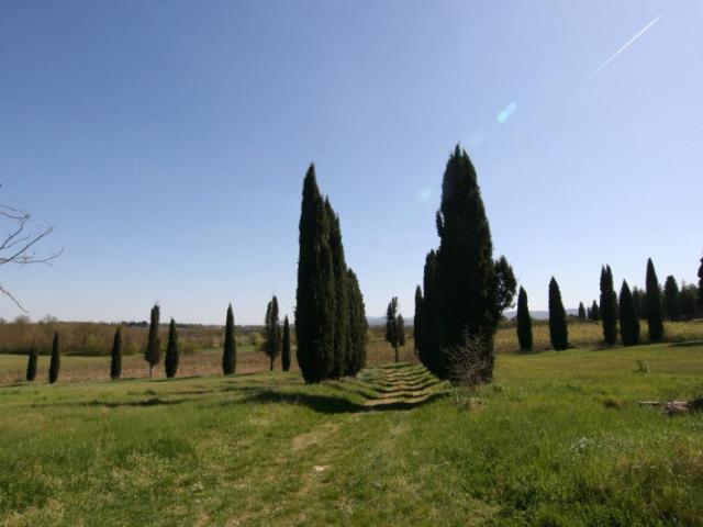 Nel cuore della splendida campagna toscana, nel comune di Lu. 760m² Lucignano