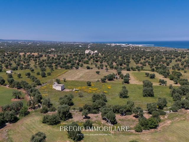 Nel cuore della rinomata contrada Pettolecchia, tra le zone. 55m² Fasano