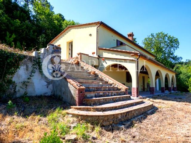 Nel cuore di un suggestivo bosco di castagni sorge questa af. 226m² Roccastrada
