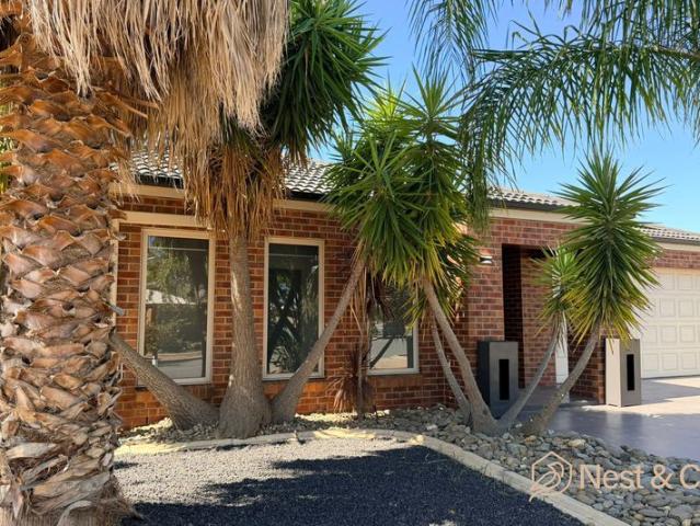 The Ultimate Family Entertainer with Open Living & Outdoor Space