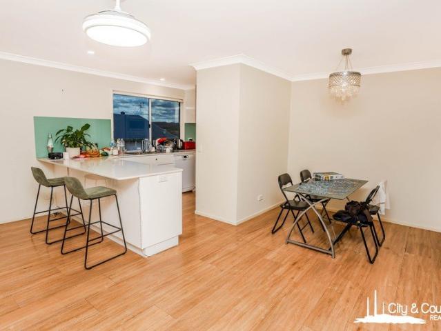 Nest or Invest Your CBD Opportunity Awaits!