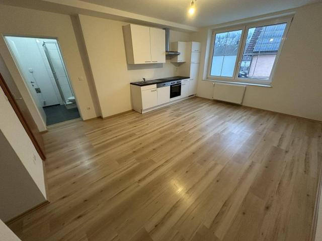 Nette 1 Zimmer Wohnung in Dietmanns
