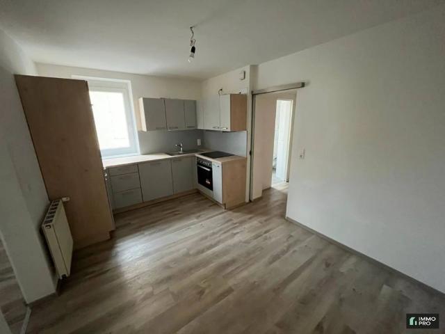 Nette 1 Zimmer Wohnung in Donawitz zu vermieten