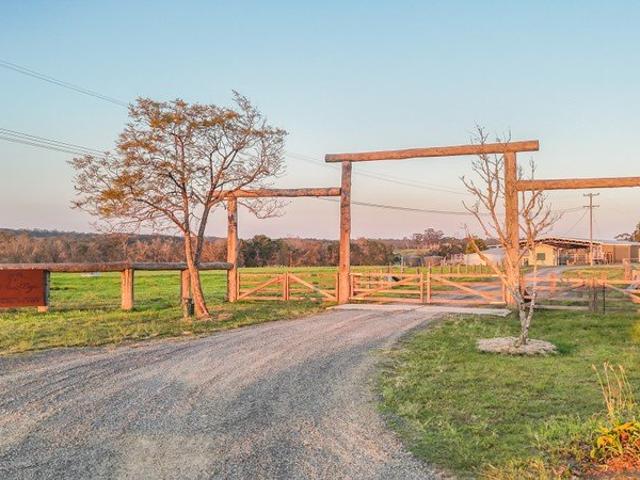 Nethergrove