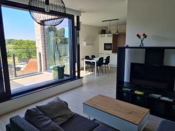 2240, Arrondissement de Anvers, Province de Anvers, Flandre