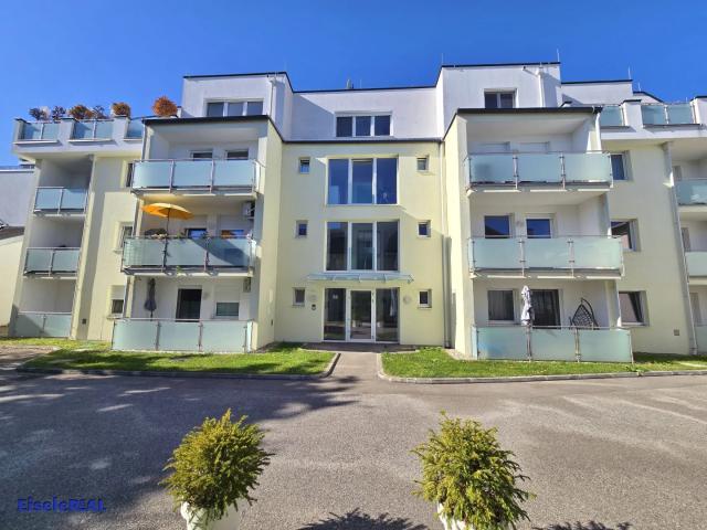 Neuwertig 3 Zimmer Top 4 zzgl. Heizung