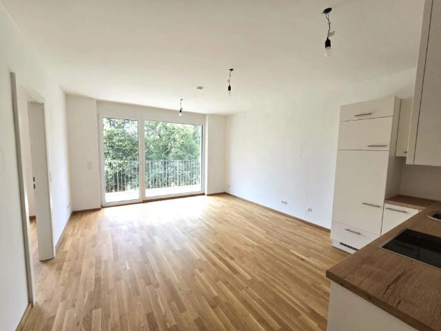 Neuwertige, geförderte 2 Zimmer Wohnung in ruhiger Lage mit Balkon Nippelgasse 10a Top 10