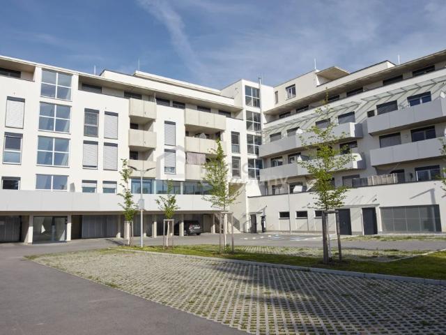 Neuwertige 1 Zimmer Terrassenwohnung mit Garage in Kalsdorf bei Graz, 53m², 935€ Miete!