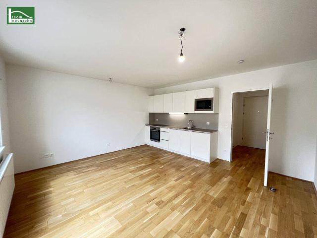 Neuwertige 1 Zimmer Wohnung mit Balkon und Einbauküche ab September beziehbar!
