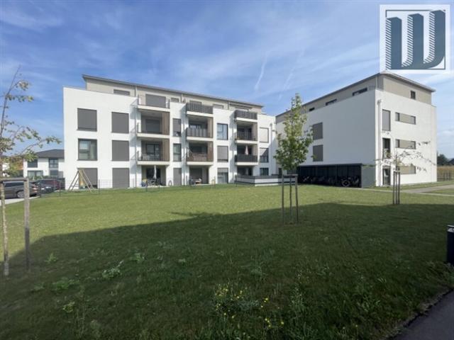 Neuwertige 2 Zi Wohnung mit Terrasse, Loggia & Stellplatz in Ober Grafendorf, 54m², 750€