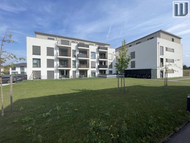 Neuwertige 2 Zi Wohnung mit Terrasse, Loggia & Stellplatz in Ober Grafendorf, 54m², 750€
