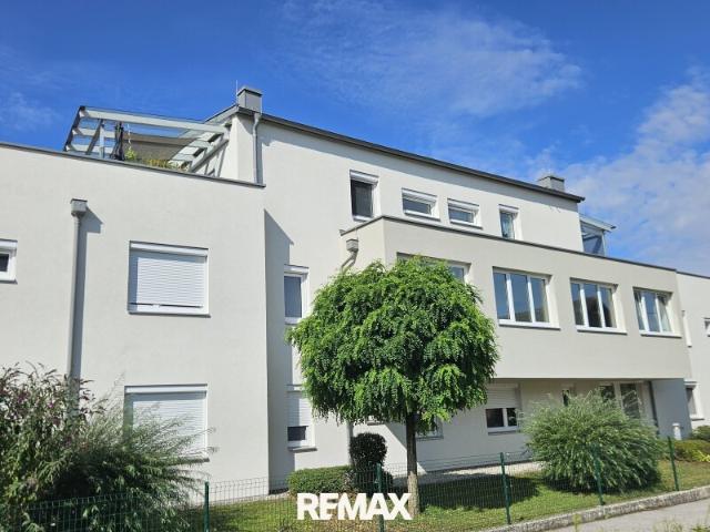 Neuwertige 3 Zimmer Wohnung mit großer Terrasse