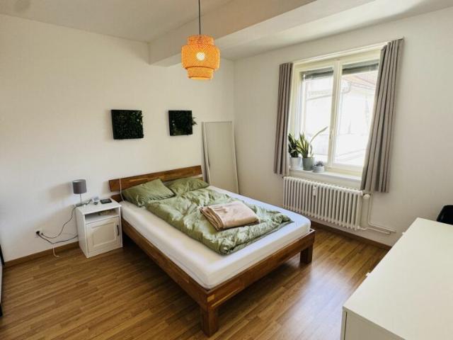 Neuwertige 3 Zimmerwohnung im 4. OG ohne Lift und ohne Balkon mit eigener WM/TU