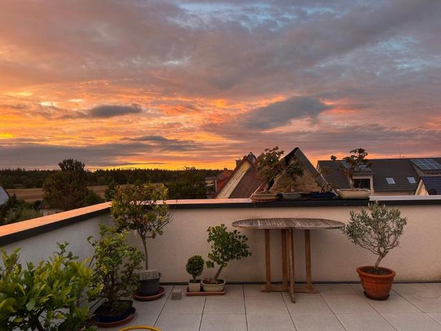 Neuwertige 4 Zimmer Wohnung mit Penthouse Feeling