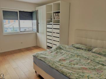 Neuwertiges Einfamilienhaus in Absdorf: Modernes Wohnen mit Terrasse und Garage!