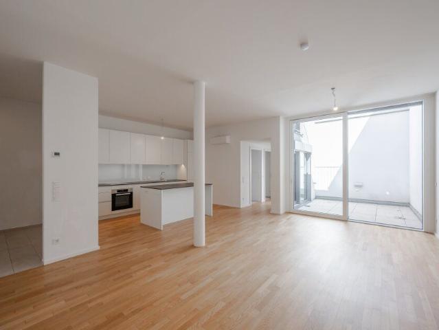 NEU+ 3 Zimmer Neubau Hofhaus mit Terrasse, Garten/Innenhof und Wohnküche in Meidling