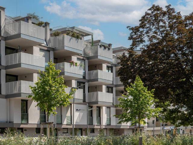 NEU + CHARMANTES VIER Zimmer Townhouse