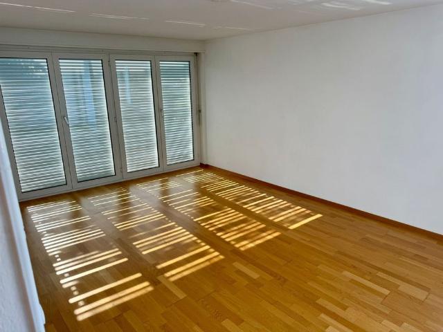 NEU: Helle 3.5 Zimmer Wohnung mit Balkon in ruhiger Lage – Steckborn