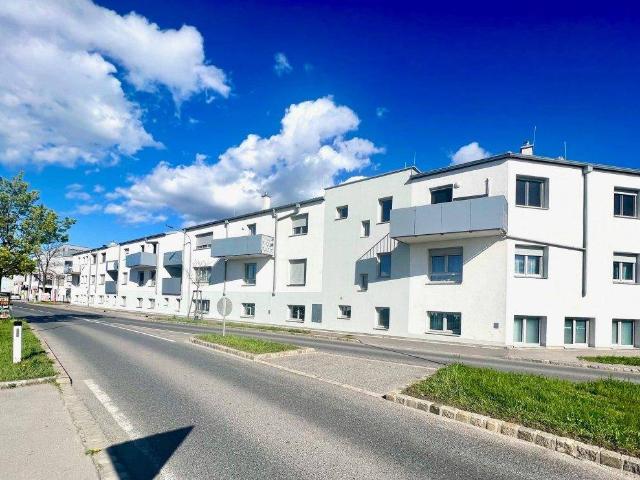 NEU in GERASDORF + MODERNE ZWEI Zimmer mit TERRASSE