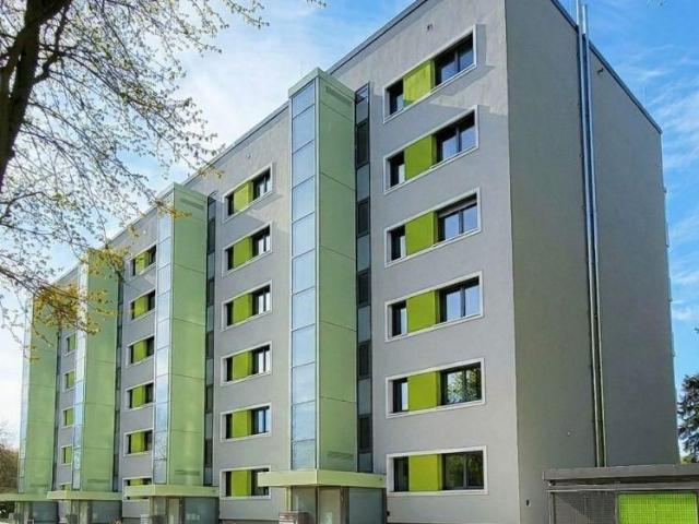 NEU NEUER Waldenburger Straße