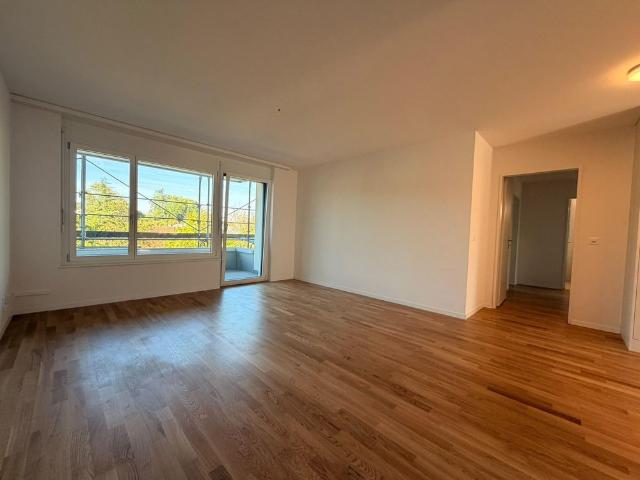 Neu sanierte 3 1/2 Zimmerwohnungen
