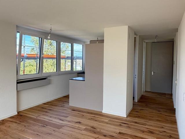 Neu sanierte 2.5 Zimmer Wohnung mit schöner Aussicht