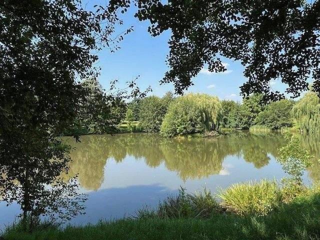 Neu Sanierte 2 Zimmer mit Balkon + EBK auf Wunsch