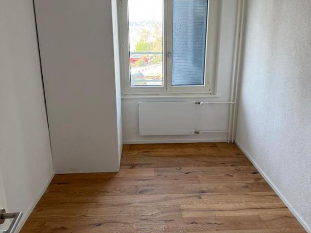 NEU Sanierte 2 Zimmer Wohnung mit Balkon und Bergblick in Luzern