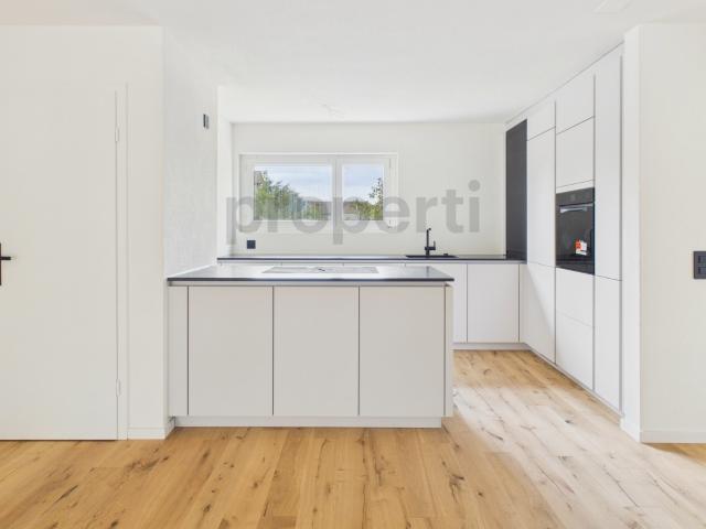 Neu sanierte 4.5 Zimmer Wohnung in Hunzenschwil