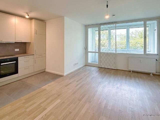 neu sanierte Garconniere mit Loggia