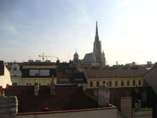 NEU SANIERTE GROSSWOHNUNG WOHNBÜRO ruhige Citylage Best Offer