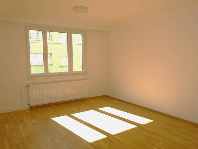 Neu sanierte helle 3 Zimmerwohnung am Yppenplatz
