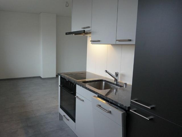 Neu sanierte Singlewohnung an super Lage helle und grosszügige Räume, neue Küche und neues Bad