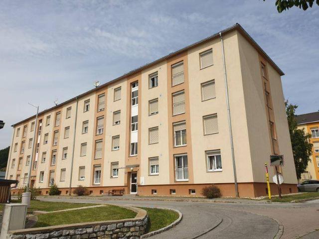 Neu sanierte Wohnung im Zentrum