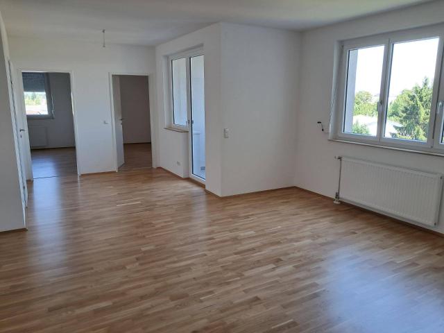neu sanierte Wohnung mit Blick ins Grüne und exzellenter Öffianbindung