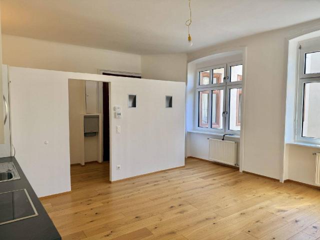 Neu sanierte Wohnung mit zwei Zimmern und großzügiger Wohnküche