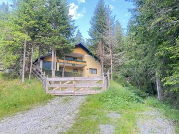 Neu saniertes 2 Familien Almhaus in ruhiger Lage