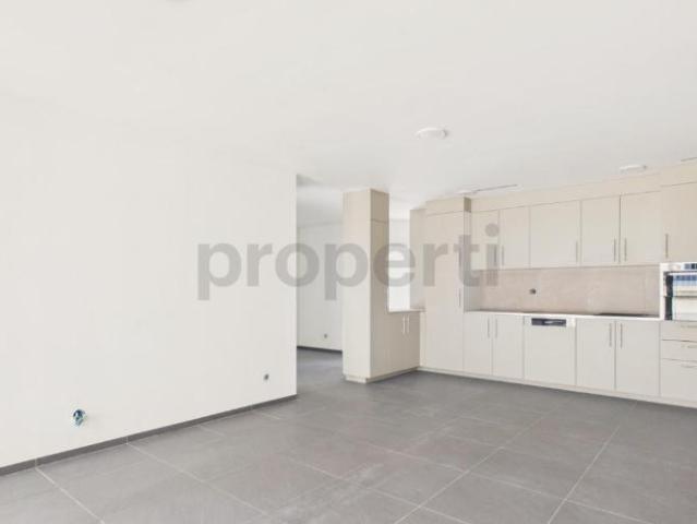 Neu renovierte 5.5 Zimmer Eigentumswohnung mit Lift, Opfikon