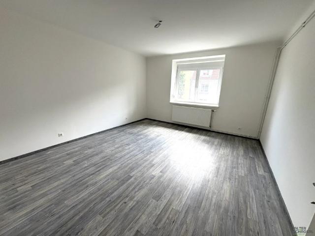 Neu renovierte 2 Zimmer Wohnung mit ruhiger Loggia