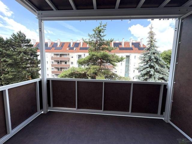 Neu renovierte 2 Zimmer Wohnung mit ruhiger Loggia