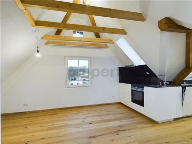 Neu renovierte 2 Zimmer Elegantwohnung mit Kellerraum, Illnau Effretikon