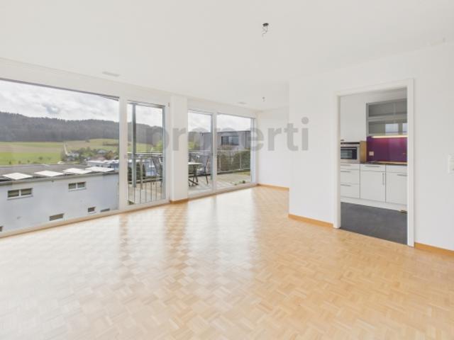 Neu renovierte 2.5 Zimmer Eigentumswohnung mit Minergie Standard, Safenwil