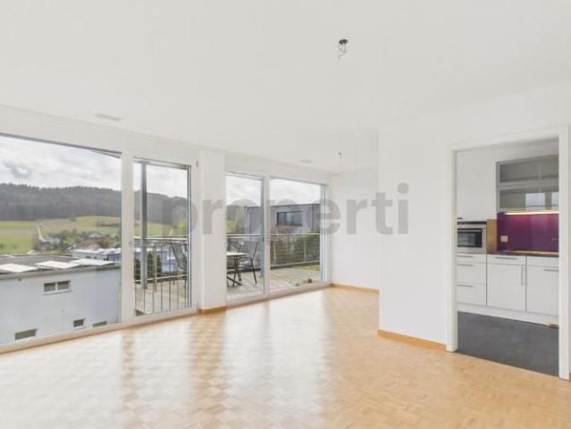 Neu renovierte 2.5 Zimmer Eigentumswohnung mit Minergie Standard, Safenwil