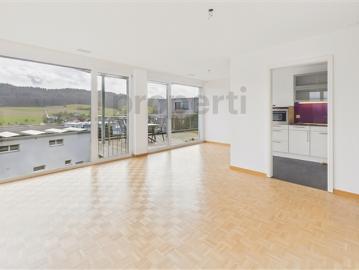 Neu renovierte 2.5 Zimmer Eigentumswohnung mit Minergie Standard, Safenwil