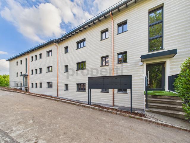 Neu renovierte 2.5 Zimmer Wohnung mit Balkon, Luzern